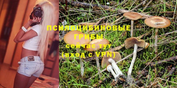 винт Аркадак