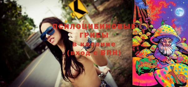 винт Аркадак