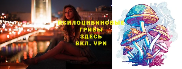 дмт Армянск