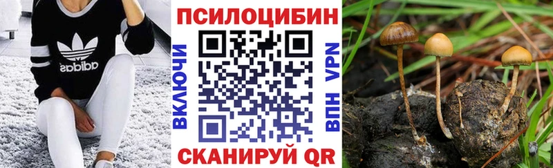 Псилоцибиновые грибы GOLDEN TEACHER  Могоча 
